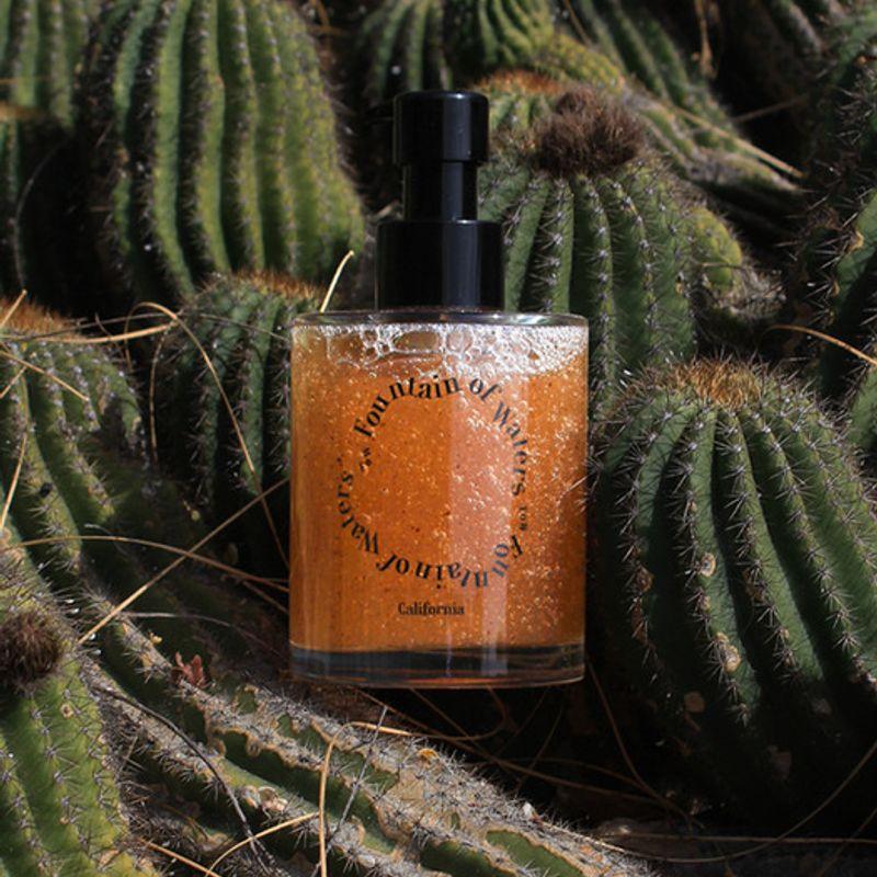 

Cactus Hotel Hand Wash
