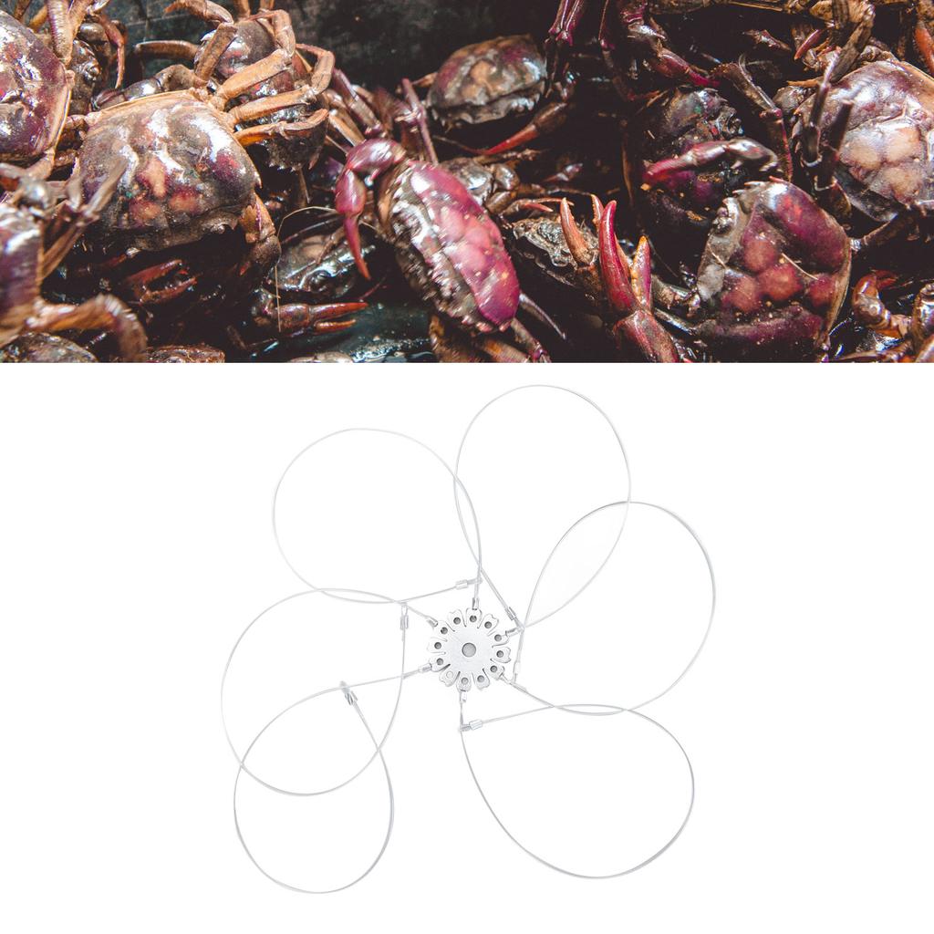 Crab Snares Reusable Rust Proof Portable Aluminum Sheet Type Crab Trap for Dungeness Blue Red Rock Crab