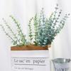 12/10 BUC Mănunchi Ramură Frunze Eucalipt Plante Artificiale din Plastic Frunze Tulpini Verzi Nuntă Faux Flori Artificiale Decor Tort DIY