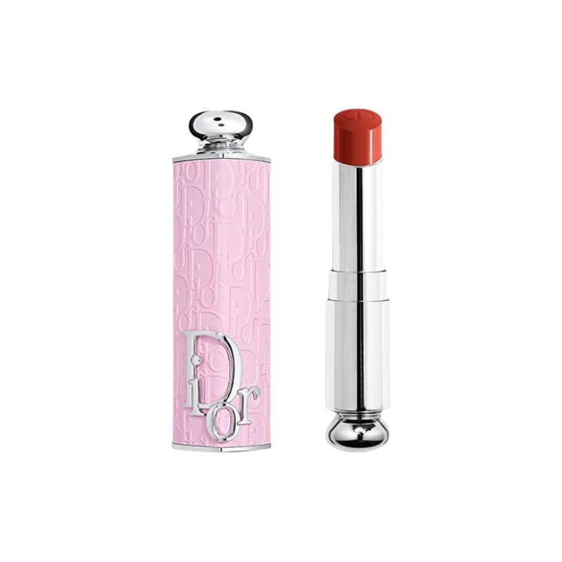 DIOR Lipstick Rose pink printed shell +740 SADDLE maple leaf dirty orange without gift box gift bag серебряный