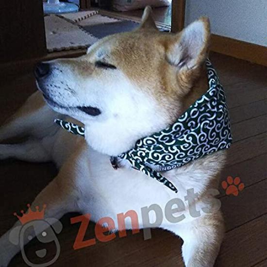 Zenpets Handana Dog Neck Cooler with Arabesque Includes Ice Made In Size L Pattern, Packs, Japan, (Red)