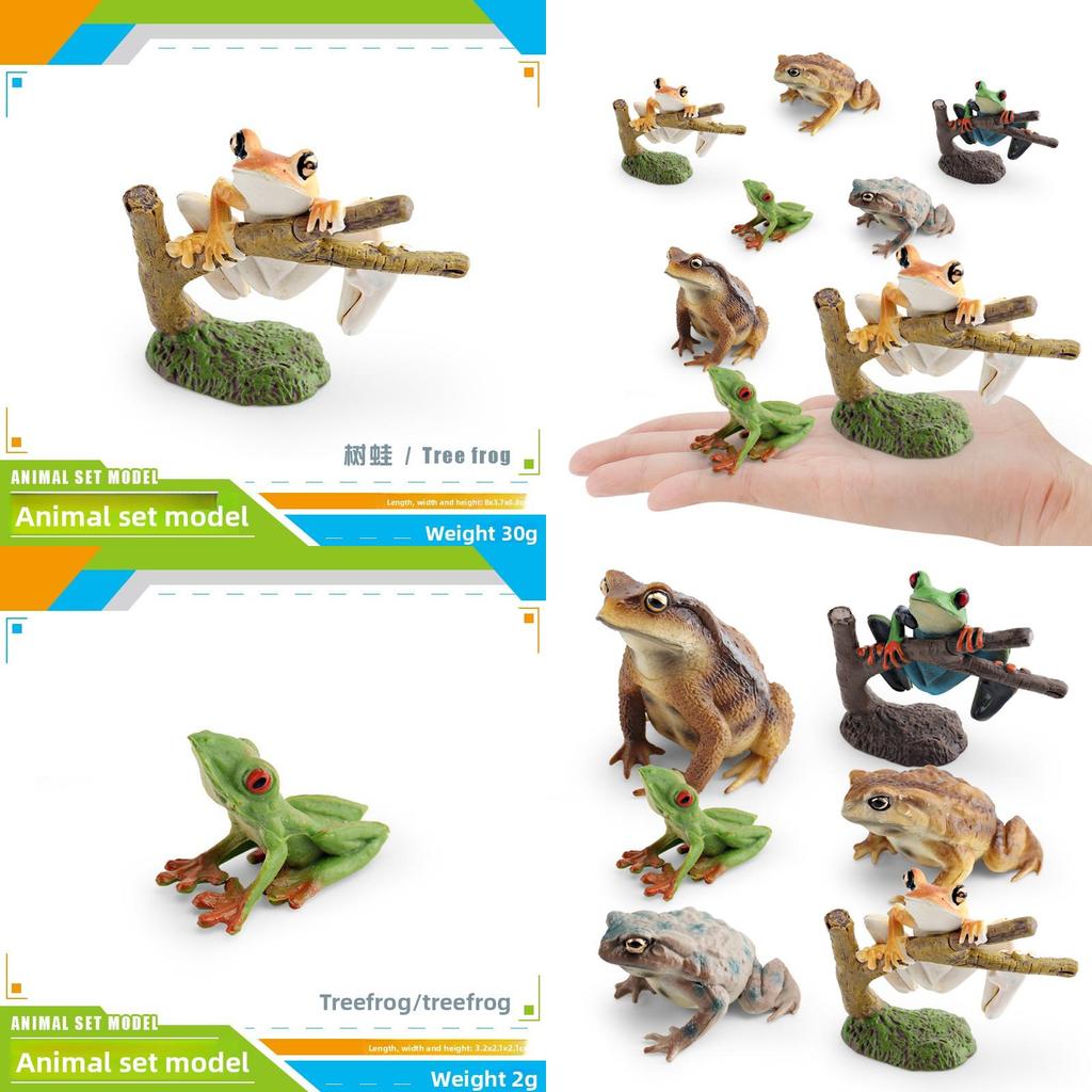 Childrens Wild Animal Pvc Collection With Realistic Tree Frog And Toad Figurines For Educational Play