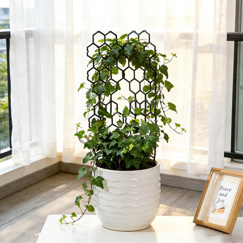1 5Pcs Honeycomb Plant Support Trellis Plastic For Potted Climbing Vines Perfect For Home And Office Tabletop Decor