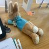 Plush Pencil Pouches School Office Stationeries Supply Bag Pen Box Pencil Case For Kids and Students Desktop Organizers