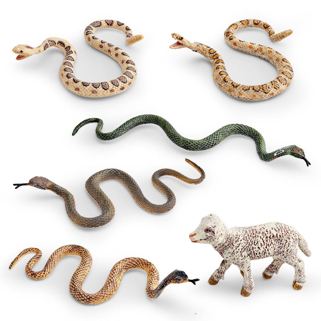 Pvc Reptile Models Wild Animal Decor For Kids Learning And Home Display