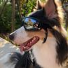 Adjustable Strap Dogs Goggles Anti-Fog Pet Glasses Easy To Wear Dog Sunglasses  Biking