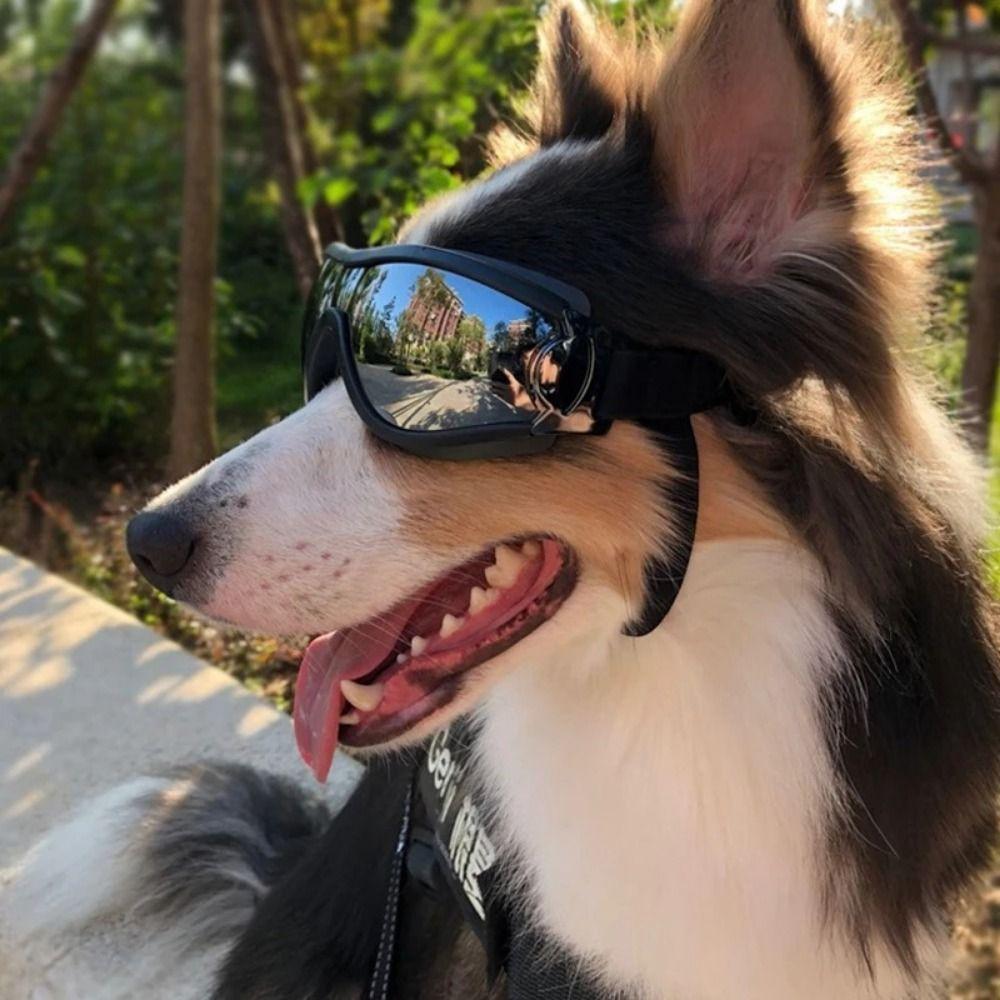 Adjustable Strap Dogs Goggles Anti-Fog Pet Glasses Easy To Wear Dog Sunglasses  Biking