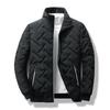 Men's 2024 Korean Style Lightweight Short Stand Collar Cotton Jacket for Autumn/Winter