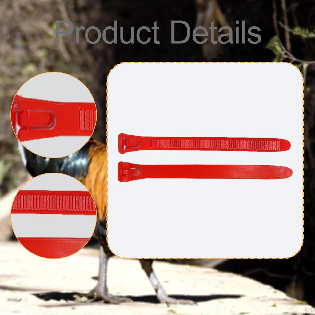 100 Pieces Numbered Chicken Leg Bands Tags Color Versatile Reusable Poultry Foot Rings for