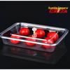 Qianxing Acrylic Transparent Rectangular Serving Tray
