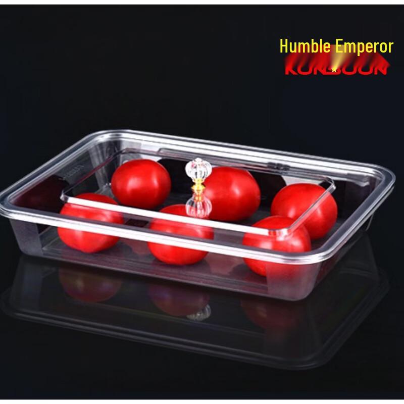 Qianxing Acrylic Transparent Rectangular Serving Tray