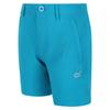 Regatta Childrens/Kids Highton Shorts