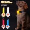 LED Pet Dog Cat Collar Pendant Night Safety Cat Luminous Light IPX7 Waterproof Flashing Harness With Light for Dog Accessories