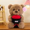 Bear Doll Gift Birthday Teddy Bear Cute Pillow Doll For Girlfriend Day Valentine