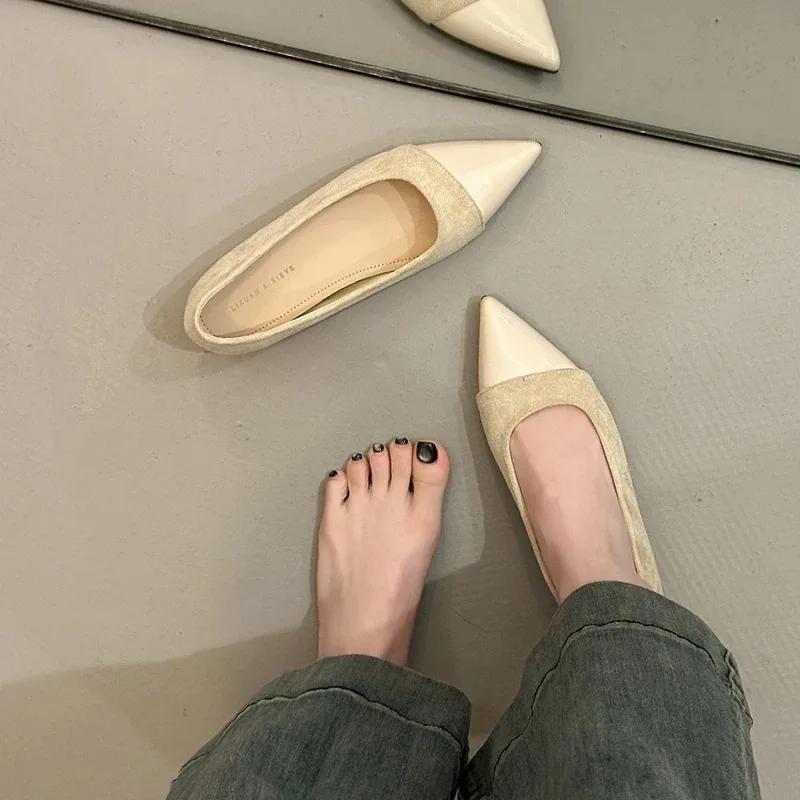 Modne francuskie szpiczaste buty damskie 2025 Wiosna Nowe Eleganckie Uniwersalne Eleganckie Damskie Płytkie Wycięcie Niski Obcas Jednowarstwowe Buty