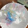 Color Changing Acetate Butterfly Hair Claw Colorful Large Shark Clip Butterfly Hair Clip  Girl