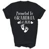 Promoted To Grandma Est 2026 Shirt Gift Unisex T-Shirt