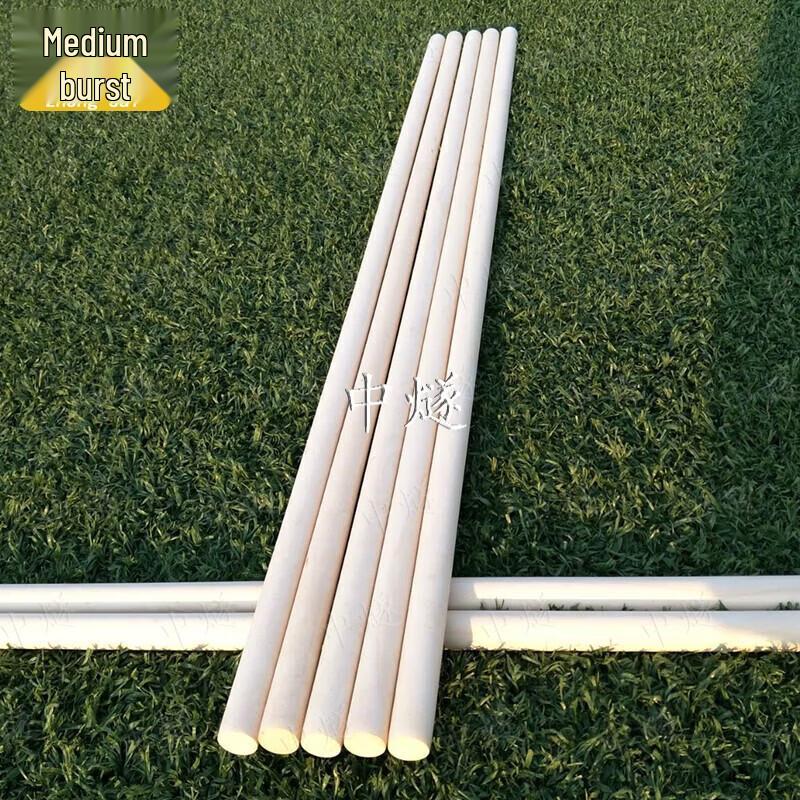 Ashwood Training Stick
