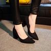 20252019 Spring New Korean Version of High Heels Fashion Thick Heel Single Shoes Pointed Women's Shoes Trendy Wedding Shoes
