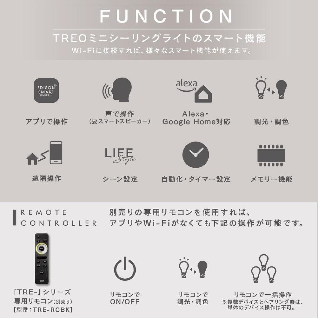 Edison Smart 3-Way Mini Ceiling Light TREO [Set of 2] for Duct Rails (with ArmsBlack), Alexa Compatible, Compact Smart Ceiling Light, Compatible with