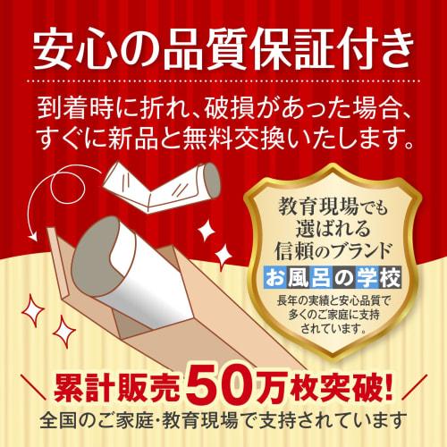 Bath School Hiragana and Katakana Bath Posters, Set of 2, Made In Japan, Dinosaur Design, Entrance Exam Preparation, Educational, Alphabet Chart, B3 S