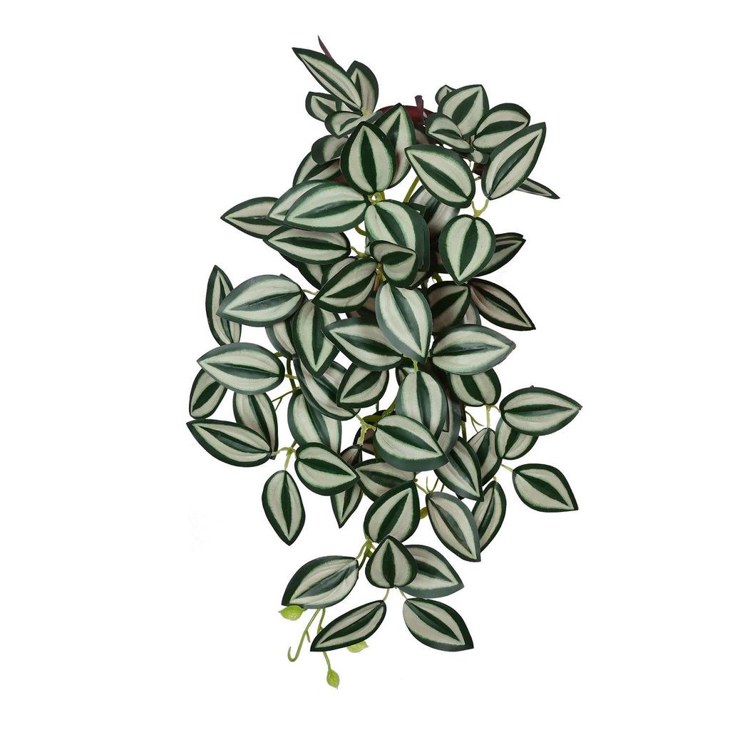 Medium-Sized Hanging Green Eye Leaf Plant for Indoor Home and Wedding Decoration