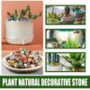 Natural Tumbled Stones Healing Crystals Quartz Gems Bulk Ore Gravel Specimen Energy Mineral Tank Aquarium Garden Home Decoration