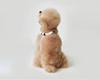 Korean Small Dog PU Leather Harness & Leash for Teddy Bichon