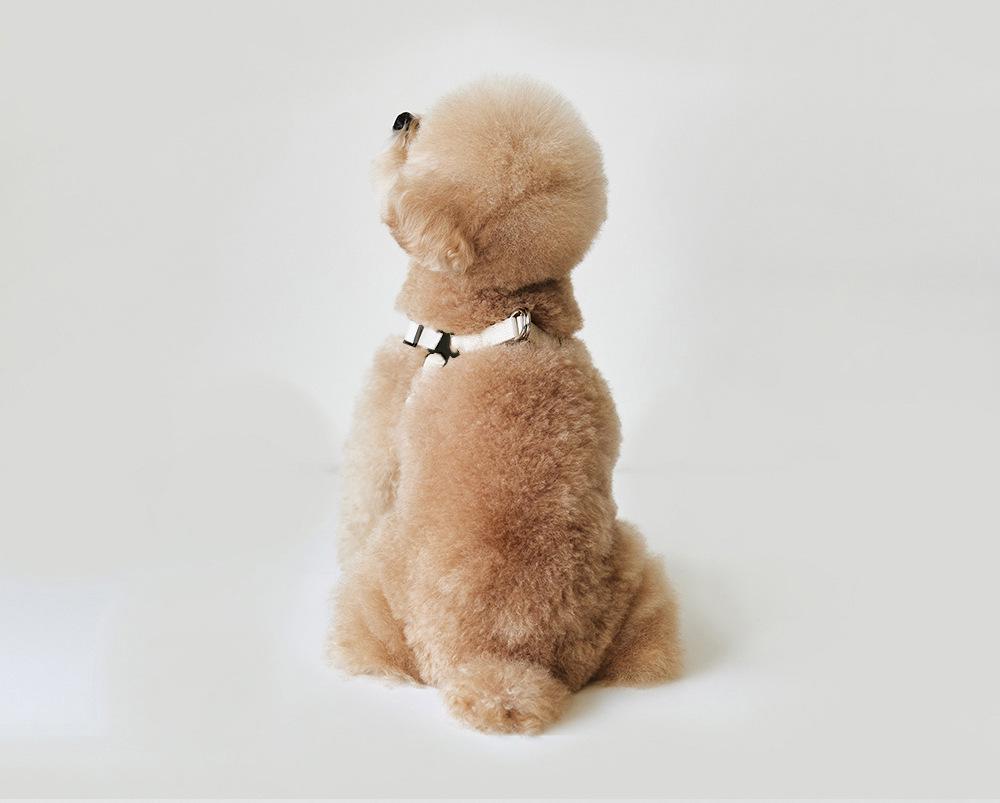 Korean Small Dog PU Leather Harness & Leash for Teddy Bichon