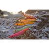 DUEL (Duel) Egi Squid Fishing Lure EZ-Q Cast Eating 2.5 No. 30: Pink during the day Squid fishing, Aoriika, Egging