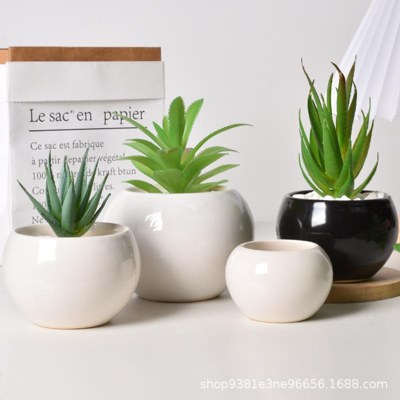 Simple Succulent Flower Pot Plant Potted Mini Round Ceramic Pot Home Decoration Green Plant Small Flower Pot
