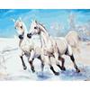 Frameless Digital Oil Painting for Entrance Hall - 40x50 Pigment Kit.