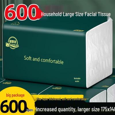 600-Sheet Extra Value: 20-Pack Large Thickened Five-Layer Household Tissues, Wet/Dry Use