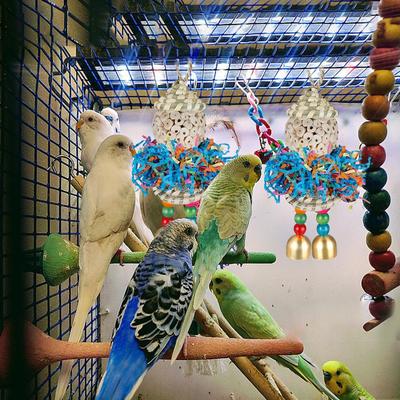 Bird Toys Foraging 2 Pieces Parakeet Chew Toys Chewable Ball For Cage Cockatoo Finch Cockatiel Canary Lovebird Macaw Parrot