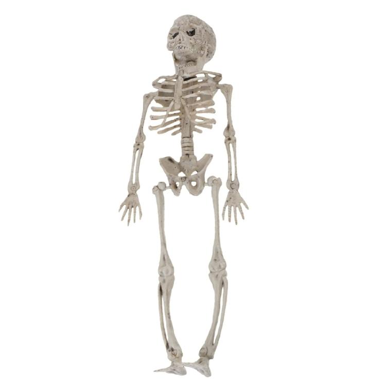 Halloweenowy Szkielet Plastyczny z Ruchomymi Stawami do Dekoracji Cmentarza, Domu Strachów, Wewnątrz i na Zewnątrz