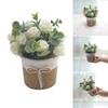 Artificial Rose Flower and Leaves Bouquets In Small Vase Faux Flowers Potted Plant for Home and Office Table Decoration