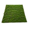 Artificial Green Moss Turf Lawn for Landscaping and Garden Decor