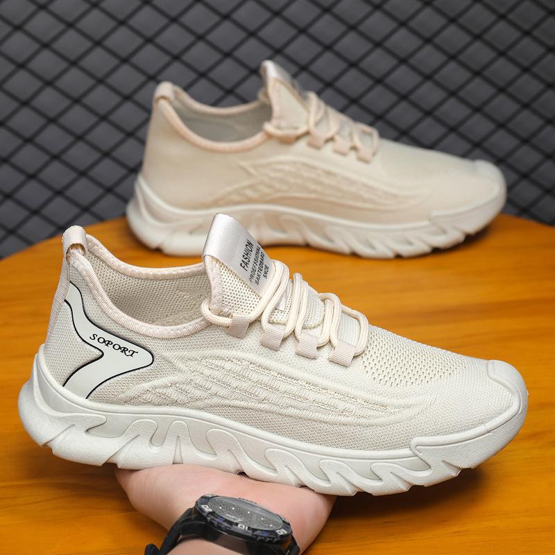 Men's Shoes Fly-woven Spring New Breathable Thin Mesh Fly-woven Mesh Shoes Casual Versatile Men's Sports Shoes