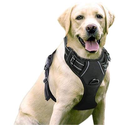 Nuova Pettorina per Cani Anti-Trazione Animale Domestico Riflettente Nylon Regolabile Media Grande Gilet per Cani Naughty Sicurezza Guinzaglio Veicolare Passeggio Corsa