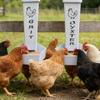 Chicken Coops Accessory Oysters Shell And Grits Feeders Practical Poultry Feeders for Efficient Poultry Nutritions