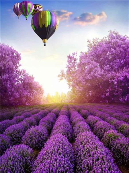 Diamond Painting Lavender Scenery Home Decor Mosaic Embroidery Sunset Landscape Rhinestone Pictures Diamond Art