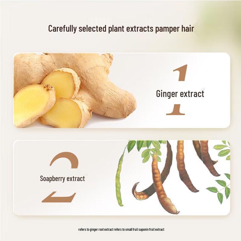 Fenghua Botanical Anti-Dandruff Shampoo