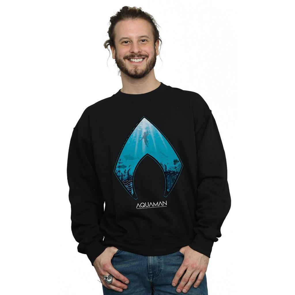 DC Comics Mens Aquaman Ocean Logo Sweatshirt