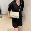 Stylish New Middle Style Women's Shoulder Bag Trendy Summer Crossbody Pillow Bag