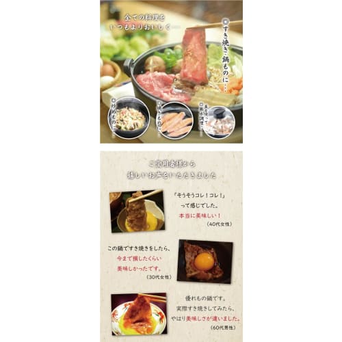 Nanbu Ironware Iwachu Sukiyaki Pot with Handle, 26cm, Glass Lid, Includes Nanbu Ironware Instructions Pamphlet, 1-Year Damage Warranty, Induction, Dir