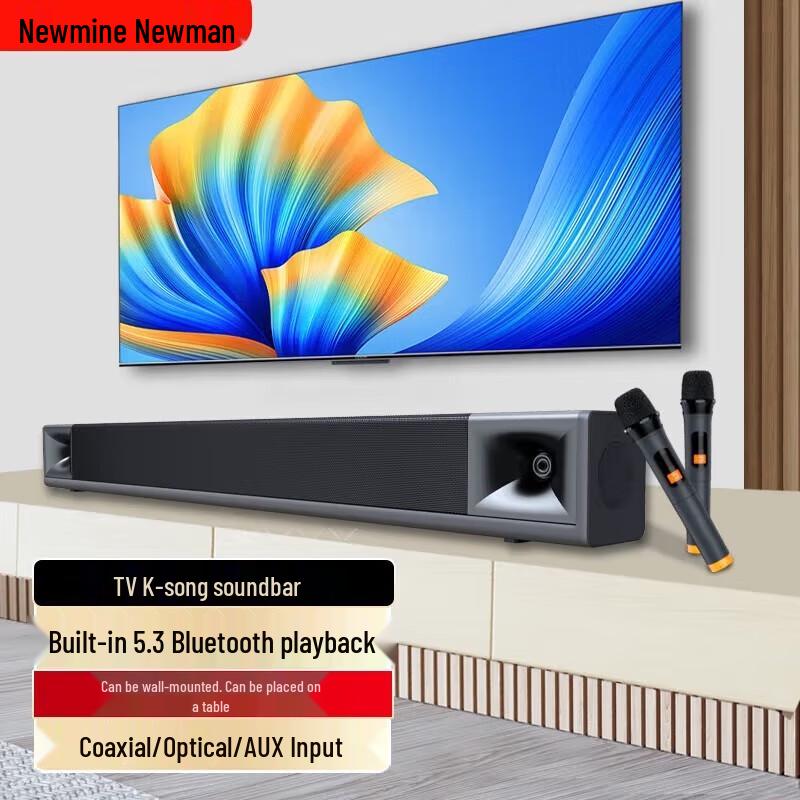 Newmine G-507 TV Soundbar Home Theater System with Dual Mics