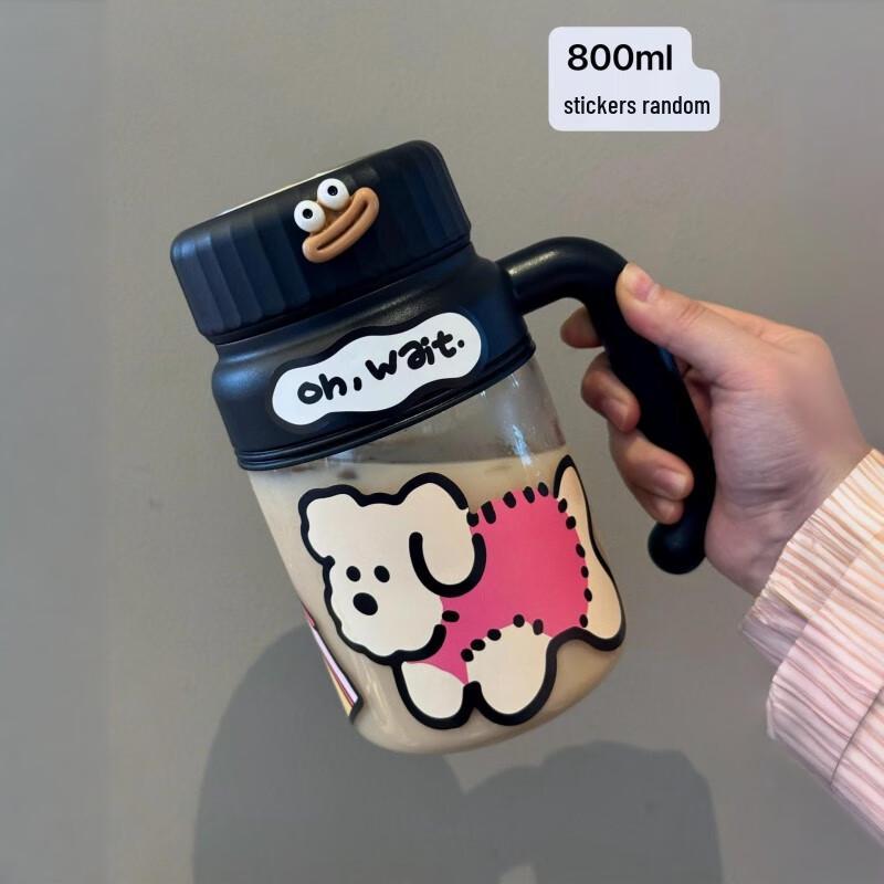 Glass Water Bottle with Handle and Tea Infuser