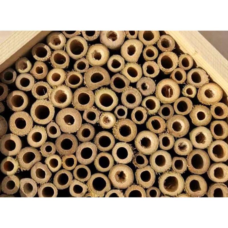 Polinatörler İçin Güvenli Arı Evi Yabani Polinatör Duvar Arısı Yaşam Alanı Asılabilir Arı Evi Bahçenin Verimliliğini Artırın