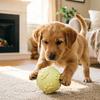Squeaky Dog Ball Raised Texture Dog Chew Toy Bite-Resistant Puppy Teething Toy for Dogs Teeth Cleaning Boredom Relief
