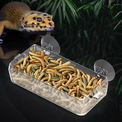 Reptilien-Felsvorsprung-Futterspender Saugnapf Gecko-Felsvorsprung-Futterspender Ausbruchsichere Mehlwurm-Schale Langlebiges Futterbecken Haustierbedarf
